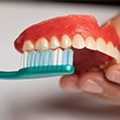 A patient brushing their denture